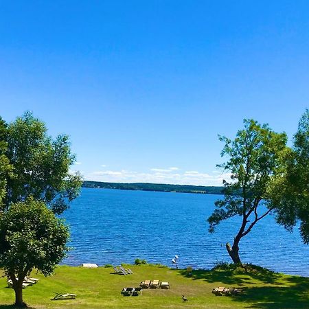 Ferienwohnung Am Ploener See Ascheberg  Ngoại thất bức ảnh